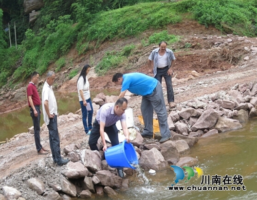 合江自怀:3万多珍贵鱼苗投放小槽河(图5) 合江自怀:3万多珍贵鱼苗投放小槽河(图5)