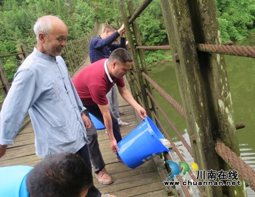 合江自怀:3万多珍贵鱼苗投放小槽河(图4) 合江自怀:3万多珍贵鱼苗投放小槽河(图4)