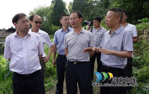 省国土资源厅厅长杨冬生调研古蔺地灾防治工作(图2)