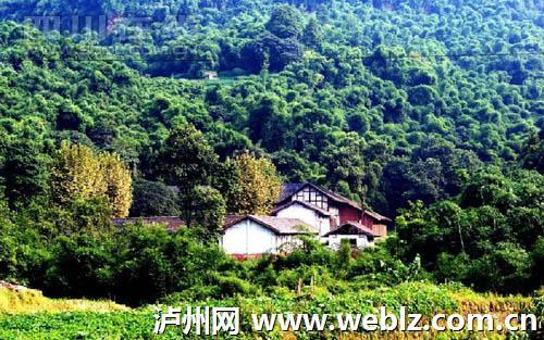 2016中央财政支持传统村落名单：泸州3村落入选(图1)
