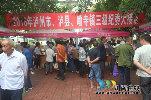泸县喻寺镇举行市县镇三级纪委大接访活动(图1)