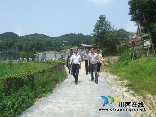泸州古蔺县马嘶乡冲刺“中国最美茶乡”(图3)