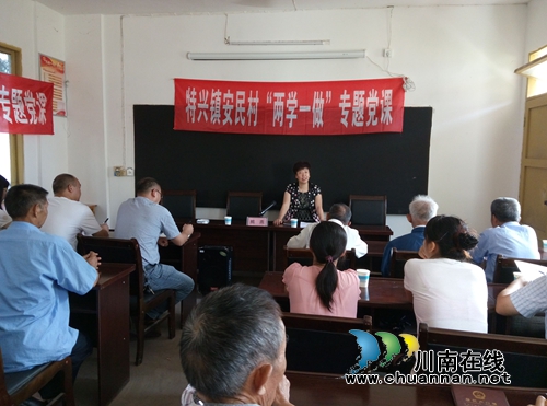特兴镇安民村开展“两学一做”专题党课(图1)