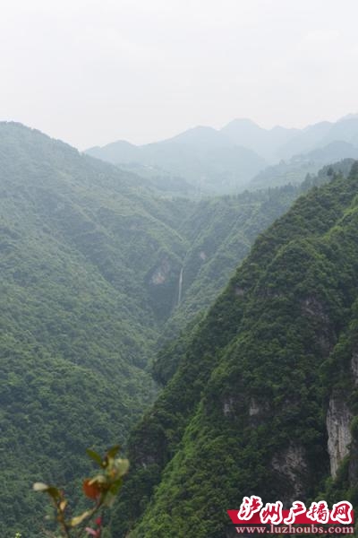 投资约70亿元&nbsp;泸州古蔺将建“世界酒城宫”(图3)