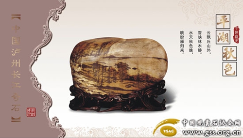 以石为媒&nbsp;韩国石友来泸州接洽长江奇石文化节(图4)