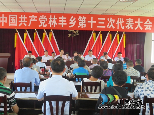 宜宾南溪区林丰乡第十三次党代会顺利召开(图1)