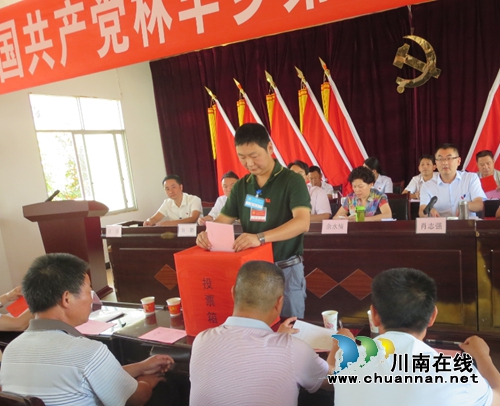 宜宾南溪区林丰乡第十三次党代会顺利召开(图3)
