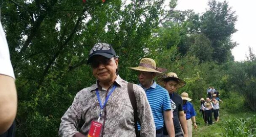 牂牁夜郎丝路神秘?京川黔渝桂学者冒暑考证(图26) 牂牁夜郎丝路神秘?京川黔渝桂学者冒暑考证(图26)