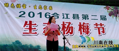 合江：又到一年杨梅晶莹剔透成熟时(图1)