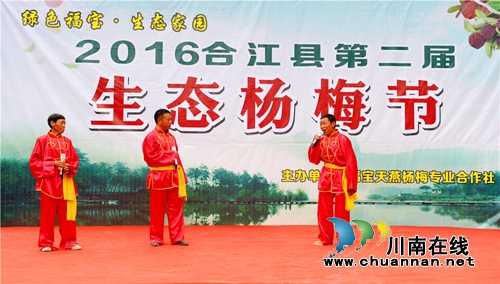 合江：又到一年杨梅晶莹剔透成熟时(图4)