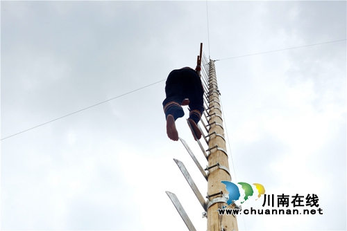 合江：又到一年杨梅晶莹剔透成熟时(图7)