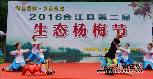 合江：又到一年杨梅晶莹剔透成熟时(图8)