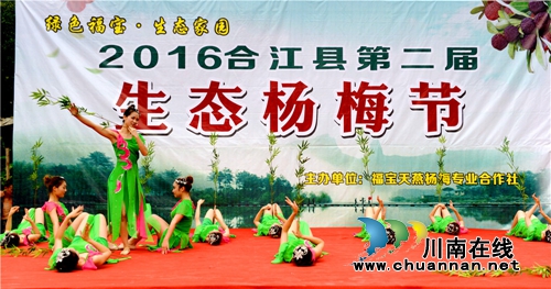 合江：又到一年杨梅晶莹剔透成熟时(图6)