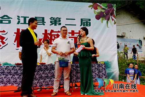 合江：又到一年杨梅晶莹剔透成熟时(图10)