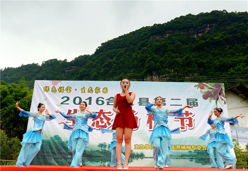 合江：又到一年杨梅晶莹剔透成熟时(图12)