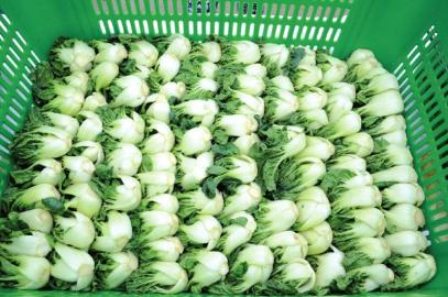 宜宾农产品可直接卖到香港澳门了(图1)
