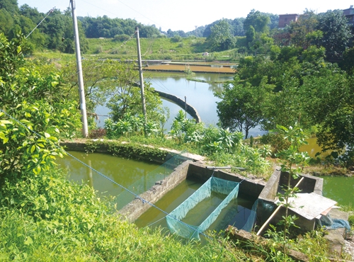 脱贫攻坚&nbsp;泸州正全力推进(图9)