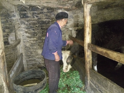 脱贫攻坚&nbsp;泸州正全力推进(图7)