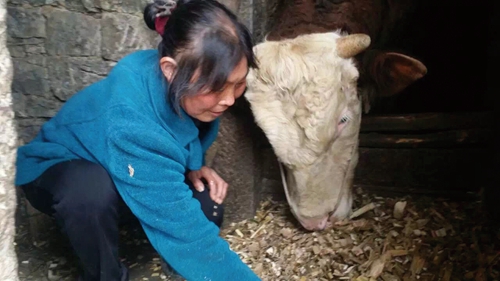 脱贫攻坚&nbsp;泸州正全力推进(图8)