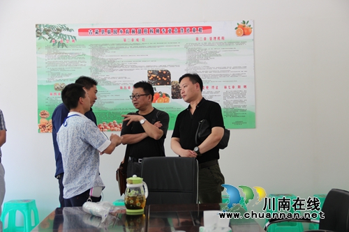 世行代表考察古蔺椒园乡甜橙基地扶贫发展项目(图1) 世行代表考察古蔺椒园乡甜橙基地扶贫发展项目(图1)