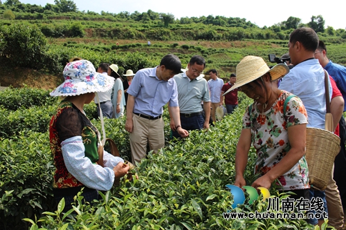 国家开发银行领导莅临古蔺马嘶苗族乡调研工作(图2)