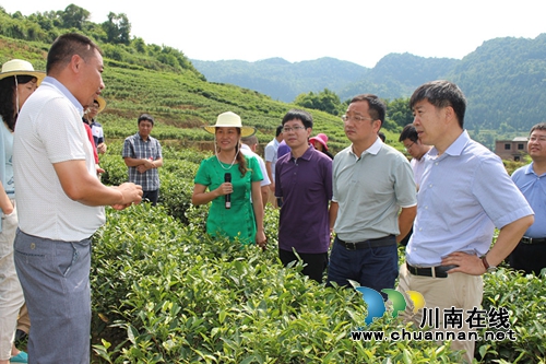 国家开发银行领导莅临古蔺马嘶苗族乡调研工作(图1)