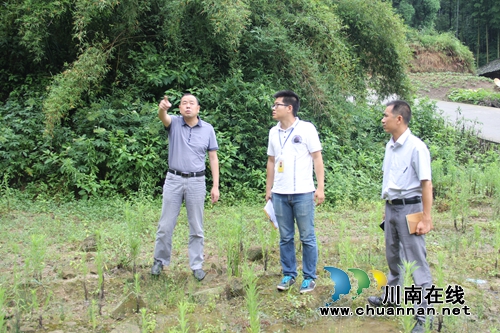泸县石桥镇开展汛期安全检查(图1)