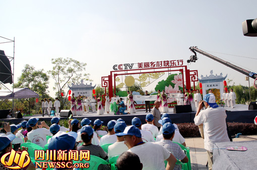 内江：文化特产“中国夏布画”亮相央视(图2)