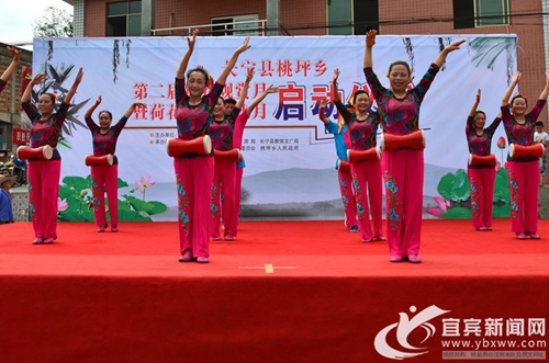 宜宾长宁桃坪乡启动第二届荷花观赏月(图2)