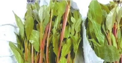 泸州警方公布新型毒品：“奶茶”藏毒吃不得(图1)