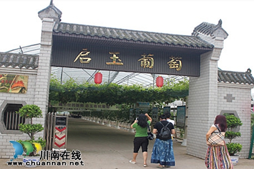 全球顶尖品种荟萃 纳溪启玉葡萄园7月9日开园(图2) 全球顶尖品种荟萃 纳溪启玉葡萄园7月9日开园(图2)