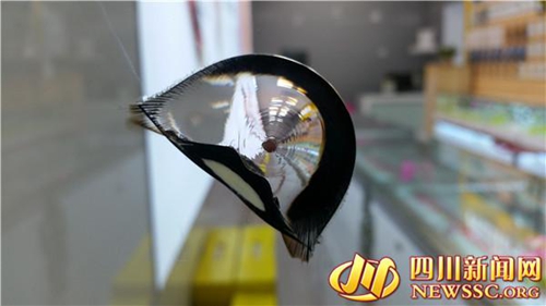 宜宾南溪多家店面遭钢珠袭击 警方介入调查(图1) 宜宾南溪多家店面遭钢珠袭击 警方介入调查(图1)