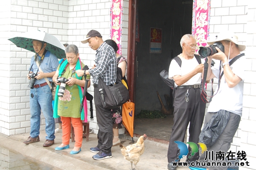 泸州:全市最大的荷园在这里!你知道吗?(图6) 泸州:全市最大的荷园在这里!你知道吗?(图6)