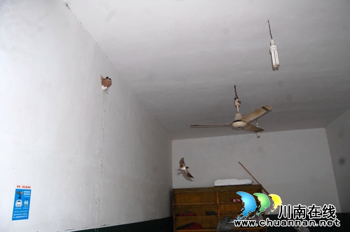 泸州:全市最大的荷园在这里!你知道吗?(图16) 泸州:全市最大的荷园在这里!你知道吗?(图16)