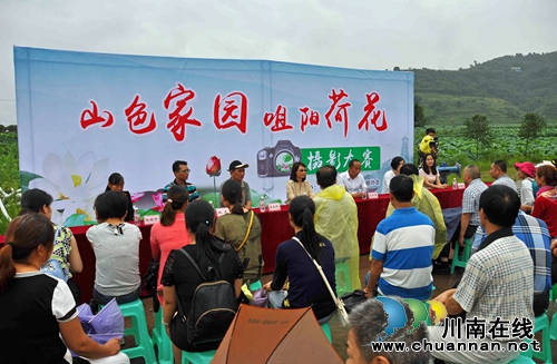 泸州:全市最大的荷园在这里!你知道吗?(图2) 泸州:全市最大的荷园在这里!你知道吗?(图2)