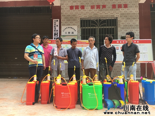 泸州：叙永县旺龙村第一书记服务一线农业生产(图2)