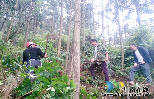 泸州：叙永县旺龙村第一书记服务一线农业生产(图4)