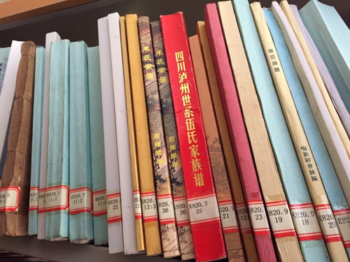 君从何处来？湖广奉旨填四川(图4)