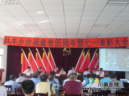 宜宾林丰乡：多举措庆祝建党95周年(图1)