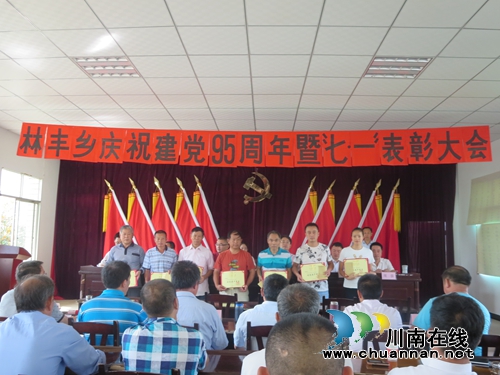 宜宾林丰乡：多举措庆祝建党95周年(图2)