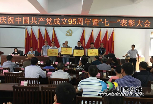 合江县自怀镇多种形式庆祝建党95周年(图2)