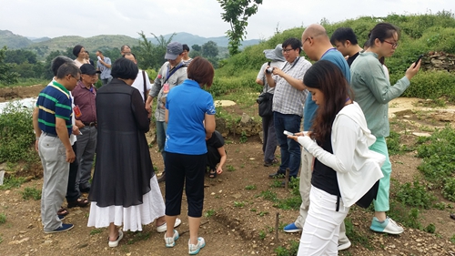 都匀宣言：泸州古代确有丝绸之路通两广(图12)