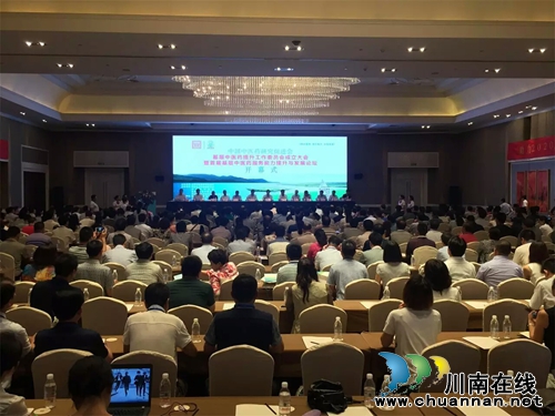 杨思进当选为中国中医药提升工作委员会副会长(图1) 杨思进当选为中国中医药提升工作委员会副会长(图1)