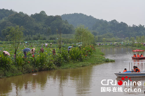 宜宾江安:千亩荷花竞相开 万人齐寻"荷仙子"(图3) 宜宾江安:千亩荷花竞相开 万人齐寻"荷仙子"(图3)