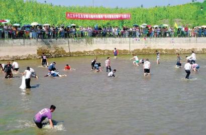 内江市中区成国家农村产业融合发展试点示范县(图1)