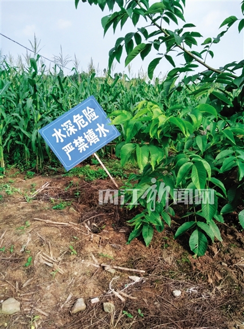 内江威远:疑因下池洗脚 大人小孩落水身亡(图2) 内江威远:疑因下池洗脚 大人小孩落水身亡(图2)