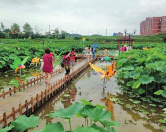 转型升级&nbsp;宜宾提高乡村旅游质量(图3)