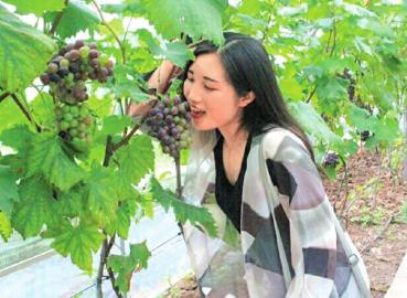 转型升级 宜宾提高乡村旅游质量(图2) 转型升级 宜宾提高乡村旅游质量(图2)