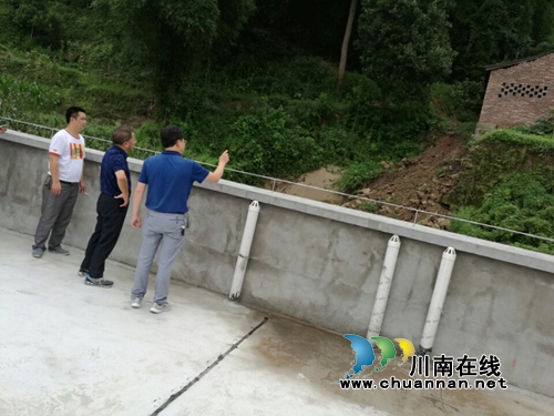 南溪区领导深入黄沙镇调研林业综合体开发工作(图2)