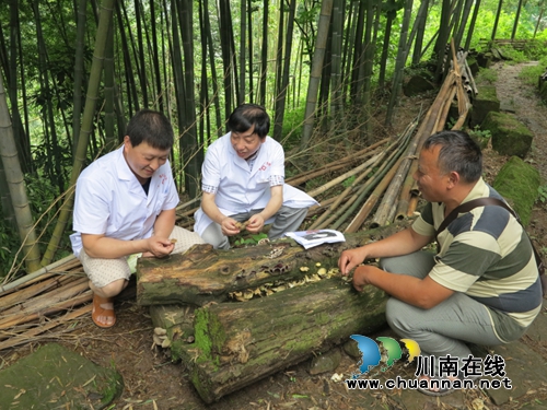 泸州纳溪区开展毒蘑菇防治宣传活动(图2)